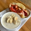 뉴욕여행. 아이비리그 &amp; 보스턴 일일투어 후기 (퀸시마켓 랍스터롤 , 마이크페스트리 맛집, 하버드...