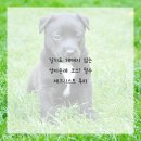 서울치과의원 이미지