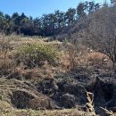 하눌저수지-1 이미지