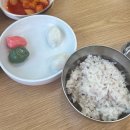 두리의정부부대찌개 | 왕실망한 2025 의정부 부대찌개 축제 후기 / 보영식당 부대찌개 탐방