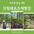 신기 | 아이와 가볼만한 곳 | 액티비티 끝판왕, 성수산 자연휴양림 산림레포츠 무료 체험 후기