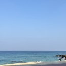 말랑이발소 | 부산 강릉 뚜벅이 1박2일 핫플만 다닌 여행코스