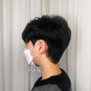 아라헤어 이미지