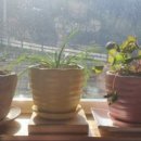 눈부신아침 이미지