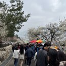 광양매화문화관 이미지