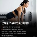 17년만에 업데이트됐다는 헬스 연구 논문 이미지