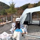 (주)아미 | 애견동반 경기도 캠핑장 추천｜개별 울타리 아미힐 여자 솔캠 후기
