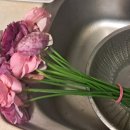 송현농장 이미지