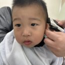 미용커트 | 전주 아기 미용 14개월 아기 미용실 첫 미용 성공! 완주 노드헤어 영유아 커트 솔직후기 (내돈내산)💇