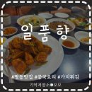 삼선13 | 극호의 중국요리 삼선우동 가지 튀김 맛집 일품향