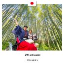 부흥자동차 | 교토 여행 아라시야마 인력거 체험 내돈내산 후기 가격, 위치, 예약 방법