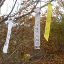 원창2리 이미지