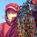 (주)뉴그린산업 | 제주 심해 갑오징어낚시 2월 그리고 겨울(뉴그린 3호, 제주왕갈치낚시)