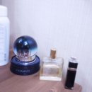 씨홀스디자인 이미지