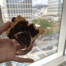 빵85 이미지