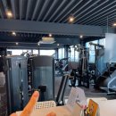 더 어반 핏 이미지