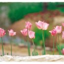 공립성모어린이집 이미지