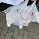 건강식품 챙겨먹어야 할 나이 25