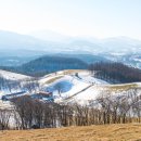 영해목장 이미지