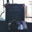 코코로스킨