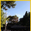 용인연사 Daum카페