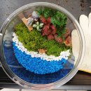 원예복지사 | 사회복지사의 날 기념행사 참가 후기🌿