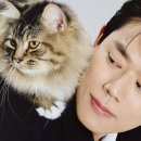 Wellness(건강한 삶)은 건강의 핵심이다 이미지