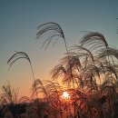 노을따라 이미지