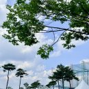 파주 해브펀 캠핑어라운드 후기｜아이랑 글램핑·바비큐·불멍 즐기기 좋은 서울 근교 캠핑장