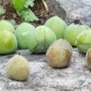 사회보험네트워크노동조합 이미지