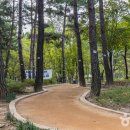 마루공원 축구장_3 이미지