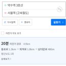 5월의 일상