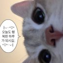 진진한의원 | 출근길 선선함이 좋아