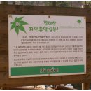 장태산의아침 티스토리