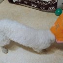 세진동물병원 이미지