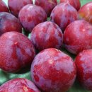 후레쉬팩토리 이미지