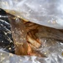 소영푸드 | 🇺🇸 뉴욕에서 무엇을 먹었을까? 가성비 맛집, 패스트푸드, 타코, 뉴욕베이글, 스테이크하우스 (6박 8...