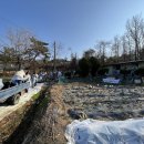 영산중학교 이미지