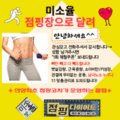 미소율점핑다이어트