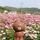 금성교회 뒤