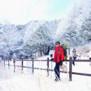 설경 이미지