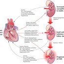 S동물병원 이미지