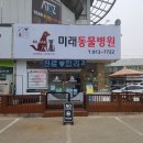 메인동물병원 이미지