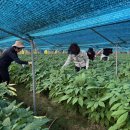 금산정비센터 충청타임즈