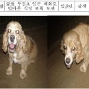 금왕축산 이미지