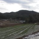 사창3리 경로당 Daum카페