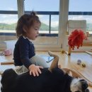 꽁냥꽁냥 이미지