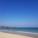 동해반점 이미지