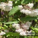 다복행정사사무소 이미지