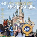 비랜드( B-Land) | 상하이 디즈니랜드 혼잡도 예상 입장객 확인하기 ! 주토피아를 후기 (입장부터 완벽 공략)